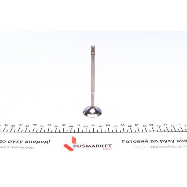 PVWG039S0N AMP Клапан (впуск) VW Caddy II/III/Golf 1.4/1.6FSI/TSI 00- (29.5x6x100,9) (азотовані)