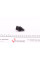3919009 AUTOTECHTEILE Датчик рівня рідини в бачку омивача VW Caddy III/Golf IV/T5 96-