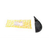 5030113 AUTOTECHTEILE Куточок дзеркала Renault Master 03-09 (L)