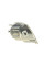 5030222 AUTOTECHTEILE Поворот передній Citroen Berlingo/Peugeot Partner 97-02 (L)