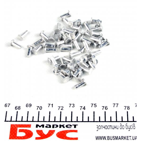 ZAKL4mm60шт BEGEL GERMANY Заклепки накладок колодок гальмівних (задніх) DB 408-410 (4 mm) (к-кт 60 шт)