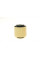 BG1801 BELGUM PARTS Сайлентблок подушки двигуна Renault Trafic/Opel Vivaro 1.9dCi 01-