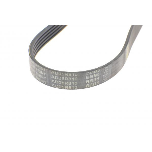 AD05R810 BLUE PRINT Ремінь генератора BMW 3 (E46)/ X5 (E53)/ 5 (E39) 2.5D-3.0D 98-06/ Land Rover Range Rover 3.0 D 02-12