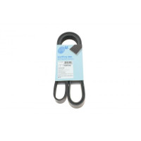 AD06R1636 BLUE PRINT Ремінь генератора VW LT 2.8TDI/ Suzuki Grand Vitara 2.0 HDI 01-05/ Audi 80/ A6/ A8 2.6-2.8 91- 97