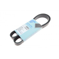 AD07R1127 BLUE PRINT Ремінь генератора Renault Megane/ Grand Scenic 1.9dCi/1.6-2.0 02-/ Nissan Juke 1.6 10- (7PK1127) AD07R1127 BLUE PRINT Ремінь генератора Renault Megane/ Grand Scenic 1.9dCi/1.6-2.0 02-/ Nissan Juke 1.6 10- (7PK1127)