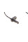 ADBP710059 BLUE PRINT Датчик ABS (передній) Honda Civic VII 05- (L)