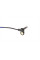 ADC47129 BLUE PRINT Датчик ABS (передній) Mitsubishi Outlender 2.0i 11-/Lancer VIII 2.0i 06- 15 (R)