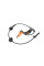 ADH27141 BLUE PRINT Датчик ABS (передній) Honda CR-V 2.0-2.4 16V 01-07 (L)