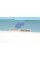 ADT32236 BLUE PRINT Фільтр повітряний Toyota Camry/Celica/Avalon 1.8-3.0i 91-03/Lexus RX300 3.0 24V 98-08