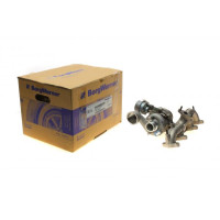 54399880020 BORGWARNER Турбіна VW T5/Caddy 1.9TDI (63kW) 03-09