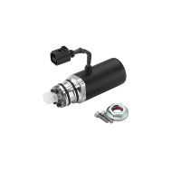DS118589 BORGWARNER Насос масляний муфти диференціала (Haldex) Volvo S40/S60/S80/V50/V70/XC70 00-