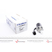 DS118611 BORGWARNER Насос масляний муфти диференціала (Haldex) Volvo XC70/XC90/Ford Kuga 00- (4x4)