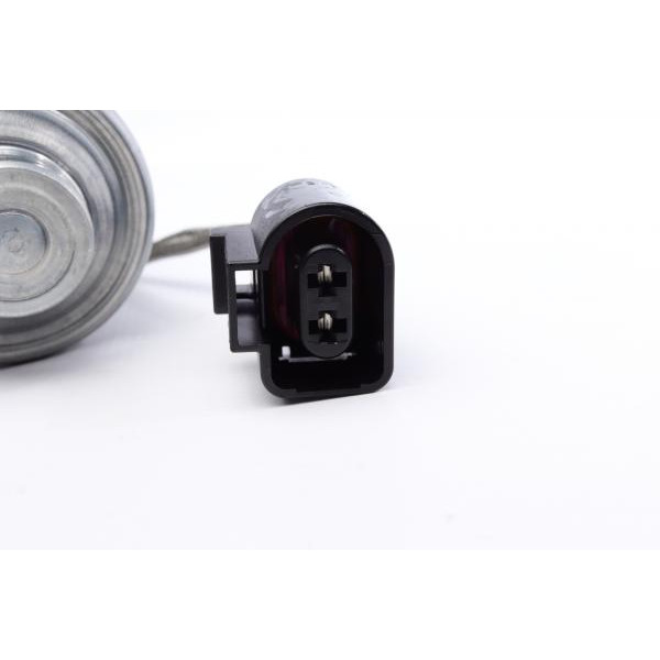 DS2010676 BORGWARNER Насос масляний муфти диференціала (Haldex) Seat Leon/VW Golf VI/VII 09- (4x4)