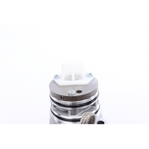 DS2010676 BORGWARNER Насос масляний муфти диференціала (Haldex) Seat Leon/VW Golf VI/VII 09- (4x4)