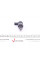 0281002800 BOSCH Клапан редукційний рейки паливний Renault Trafic II/Scenic III/Nissan Primastar 2.0dCi 06-