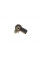 0445117030 BOSCH Форсунка BMW 3 (F30/F80)/5 (F10) 2.0/3.0d 11-18 (N57/N47)