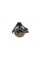 0450907015 BOSCH Фільтр паливний Renault Clio/Modus 1.5dci 04- (h=188mm)