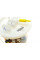 0580200493 BOSCH Насос паливний в бак Ford Focus/C-Max 1.0-2.0 12-