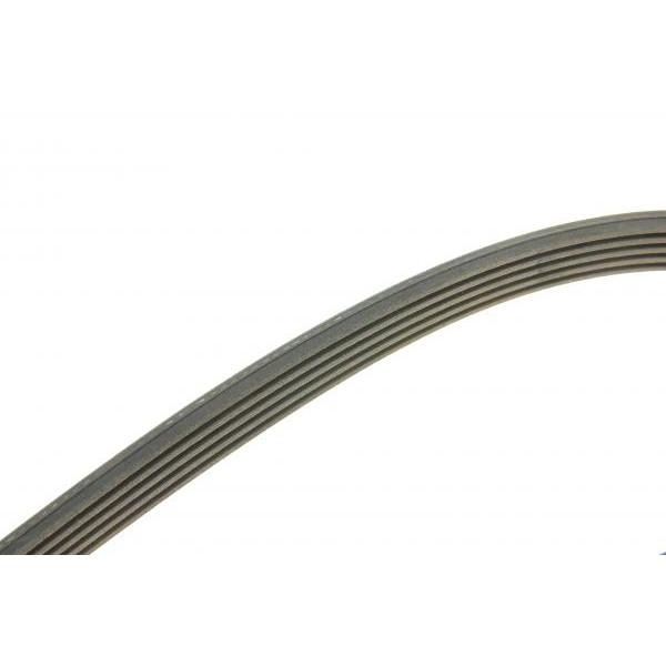 1987948480 BOSCH Ремінь генератора Opel Astra G/H 1.6/1.8 04-12 (5PK1450)