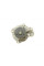 PA10057 BUGATTI Насос води Nissan Micra III 1.0 16V/1.2 16V/1.3/1.4 16V 03-/Note 1.4 06-12