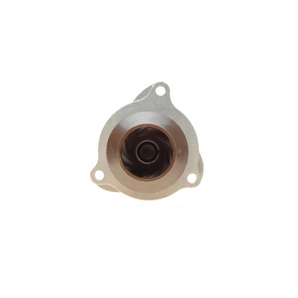 PA10073 BUGATTI Помпа води Ford Fiesta V/Fusion 1.3 01-08 (R/B) (6 лоп.)