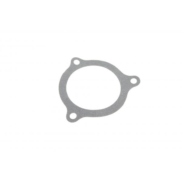 PA10073 BUGATTI Помпа води Ford Fiesta V/Fusion 1.3 01-08 (R/B) (6 лоп.)