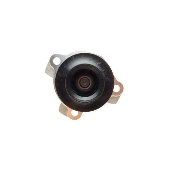 PA10117 BUGATTI Помпа води Nissan Qashqai/X-Trail/Renault Trafic/Master/Laguna/Megane 2.0/2.3dCi 05- (R/B) (16 лоп)
