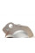 PA10117 BUGATTI Помпа води Nissan Qashqai/X-Trail/Renault Trafic/Master/Laguna/Megane 2.0/2.3dCi 05- (R/B) (16 лоп)