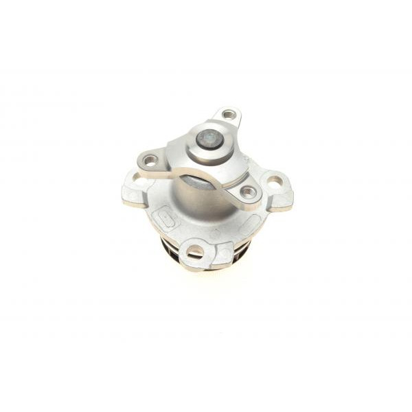 PA10117 BUGATTI Помпа води Nissan Qashqai/X-Trail/Renault Trafic/Master/Laguna/Megane 2.0/2.3dCi 05- (R/B) (16 лоп)