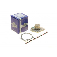 PA10138 BUGATTI Насос води Ford Focus II/Mondeo IV/Kuga I 2.5 05-/Renault Laguna 2.0/Volvo 95- (19z) (R/B) (7 лоп)