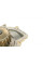 PA10170 BUGATTI Помпа води Citroen C4/C5/C8/Jumpy/Fiat Scudo/Peugeot 308/407/Ford Focus 2.0HDI 06-(B/B)(24лоп)