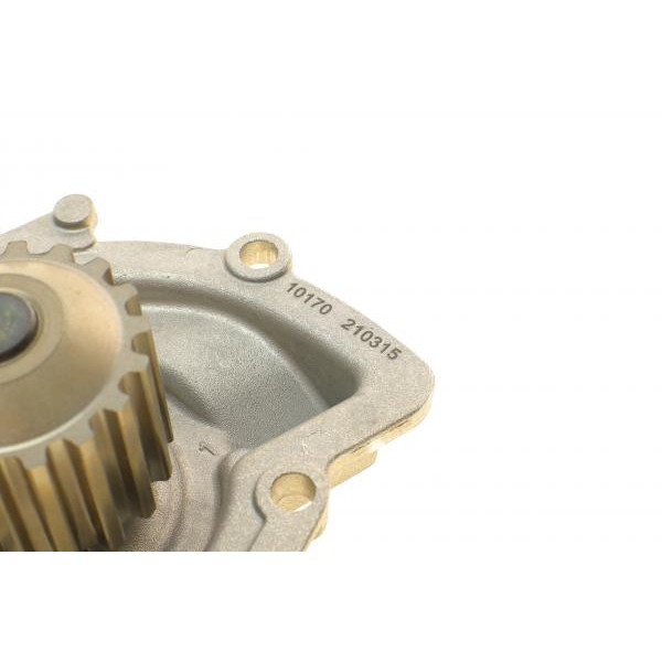 PA10170 BUGATTI Помпа води Citroen C4/C5/C8/Jumpy/Fiat Scudo/Peugeot 308/407/Ford Focus 2.0HDI 06-(B/B)(24лоп)