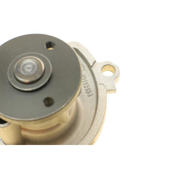 PA10190 BUGATTI Насос води Renault Clio/Scenic/Megane/Kangoo/Nissan Qashqai/Juke 0.9-1.2-1.4TCe/1.6Sce 09-