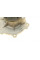 PA10239 BUGATTI Помпа води Citroen C4/Peugeot 4008 1.8HDi 12-/Mitsubishi Lancer 1.8DI-D/Outlander 2.2DI-D(B/B)(8лоп)