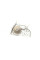 PA7715 BUGATTI Насос води Renault Kangoo/Megane/Clio 1.4/1.4i/1.4e 96- (B/B) (8 лоп)