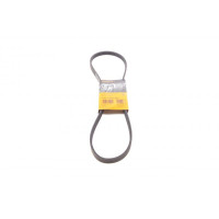 4PK1102ELAST CONTINENTAL Ремінь генератора Citroen Jumper/Fiat Ducato/Peugeot Boxer 3.0HDi/D 06-