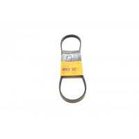 4PK800 CONTINENTAL Ремінь генератора Honda Civic VI/Nissan Primera/Citroen Berlingo 1.4-1.6 16V 94-05 (4PK800)