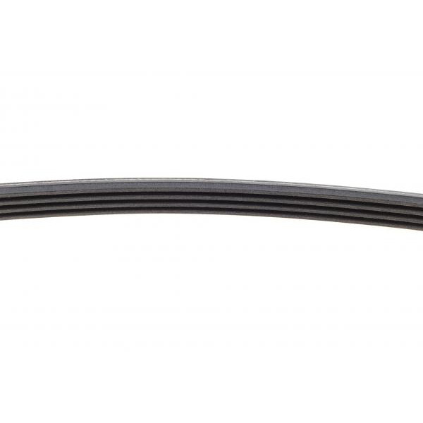 4PK800 CONTINENTAL Ремінь генератора Honda Civic VI/Nissan Primera/Citroen Berlingo 1.4-1.6 16V 94-05 (4PK800)