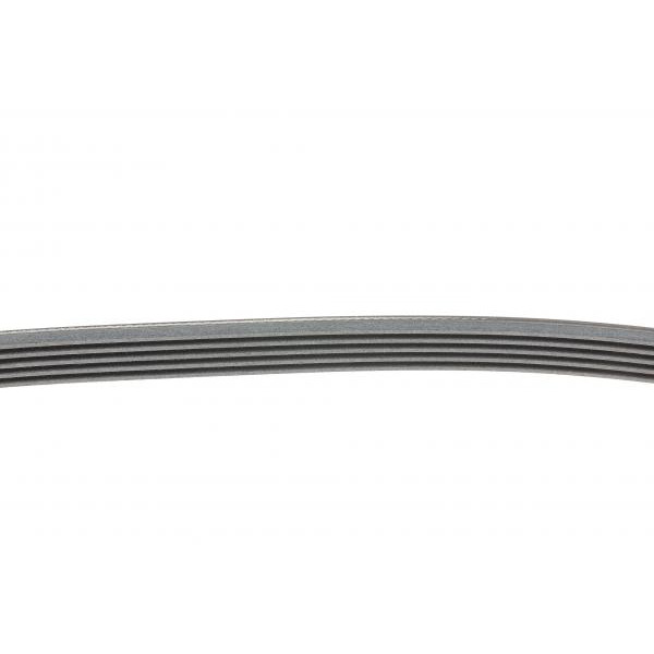 5PK1015 CONTINENTAL Ремінь генератора Daewoo Lanos 1.4/1.6i