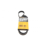 5PK1100 CONTINENTAL Ремінь генератора Citroen Jumper 2.8HDI 00-/Fiat Ducato 2.5D/TD