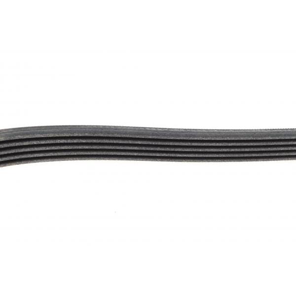5PK1100 CONTINENTAL Ремінь генератора Citroen Jumper 2.8HDI 00-/Fiat Ducato 2.5D/TD