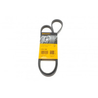 5PK1250 CONTINENTAL Ремінь генератора Toyota Avensis/Corolla 2.0D 03-09/Hyundai i10 1.0 13-