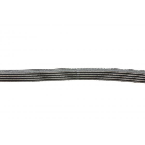 5PK1250 CONTINENTAL Ремінь генератора Toyota Avensis/Corolla 2.0D 03-09/Hyundai i10 1.0 13-