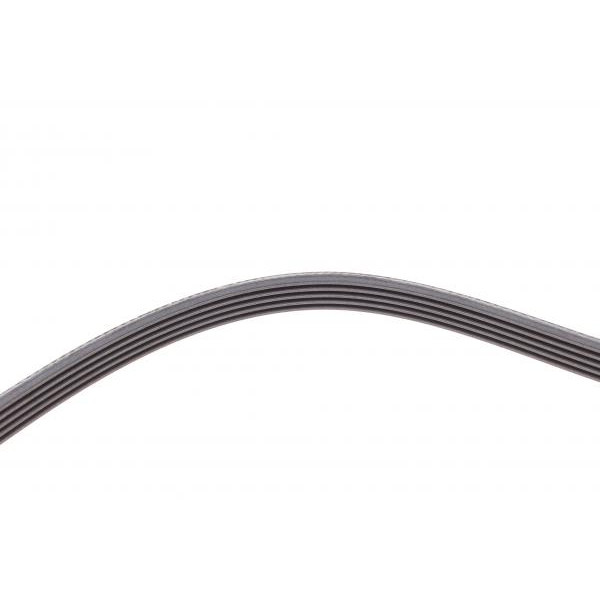 5PK1592 CONTINENTAL Ремінь генератора VW Passat 1.9TDI 96-00/Audi A4/A6 1.9TDI 95-01/Kia Carnival 2.9TDi/CRDi 99-06