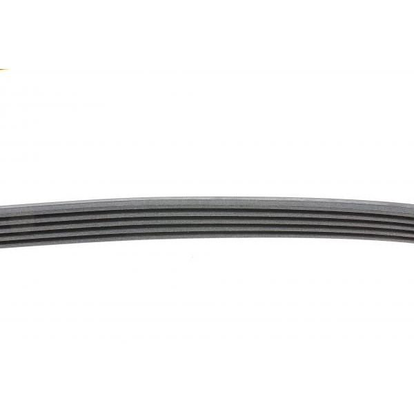5PK1885 CONTINENTAL Ремінь генератора BMW 3 (E36) 318tds 95-00/Chevrolet Niva 1.7 4x4 02-