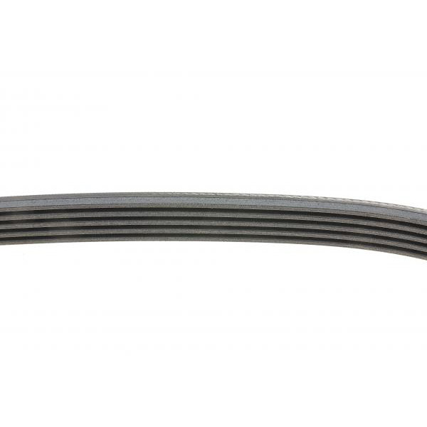 5PK830 CONTINENTAL Ремінь генератора Opel Omega B 2.5DTI 01-03