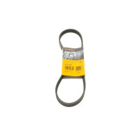 5PK847 CONTINENTAL Ремінь генератора Ford Focus/Kuga 2.5 05-