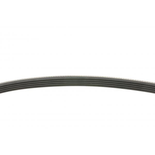 5PK847 CONTINENTAL Ремінь генератора Ford Focus/Kuga 2.5 05-