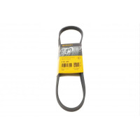 5PK865 CONTINENTAL Ремінь генератора BMW 3 (E46)/5 (E39)/7 (E38) 95-05 (5PK865)