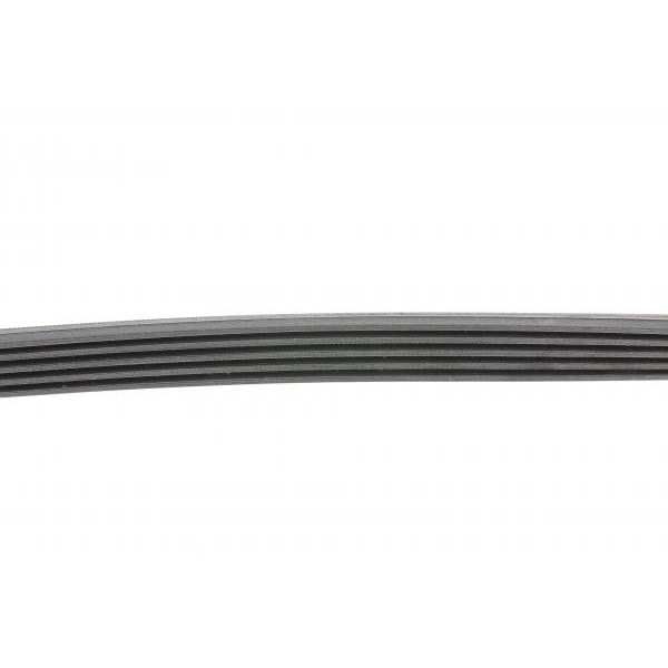 5PK865 CONTINENTAL Ремінь генератора BMW 3 (E46)/5 (E39)/7 (E38) 95-05 (5PK865)
